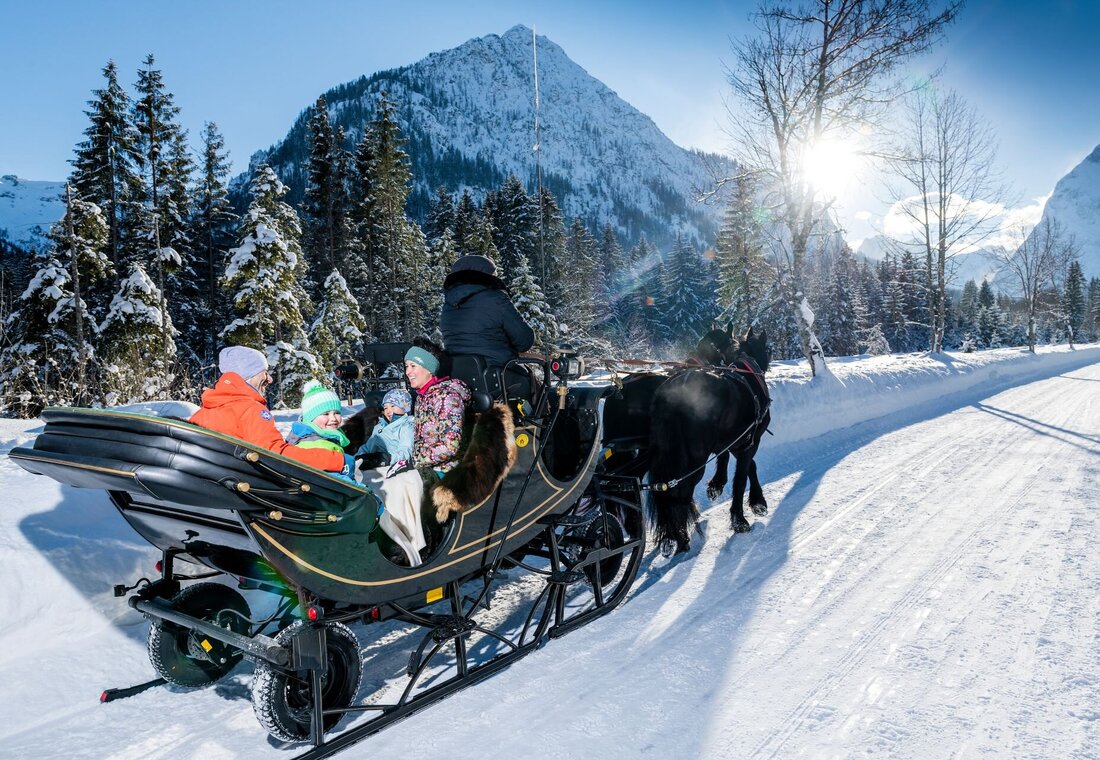 Familie auf einer Pferdekutsche im Winter