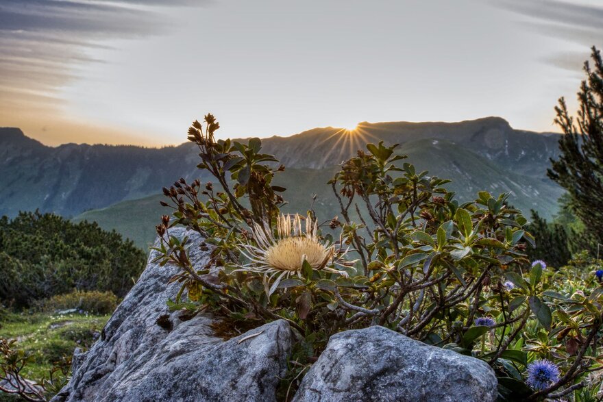 Sonnenaufgang im Karwendelgebirge