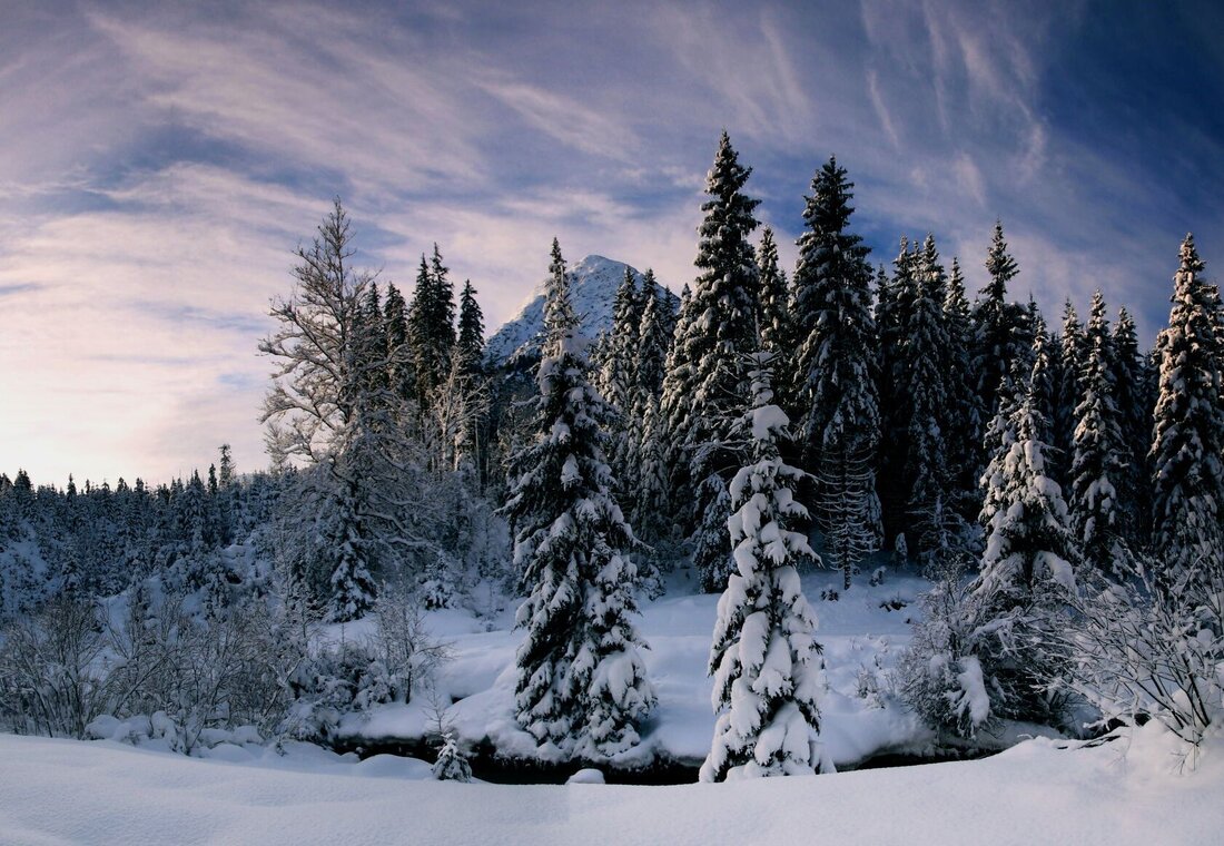 Schöne Winterlandschaft